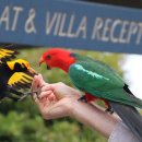 초입농장 이미지