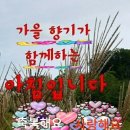 이오티 - 북구 서변로3길 55-1 | 이오티