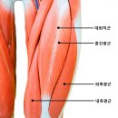 범피티 이미지