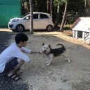 [양양 펜션 추천]양양 바다뷰 스파펜션 코델리아펜션 후기