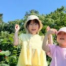 새터농장 이미지