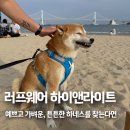라이트앤굿 | 러프웨어 하이앤라이트 하네스 내돈내산 6개월 사용 후기. 중형견 대형견 하네스 추천