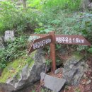 갑사주유소 이미지