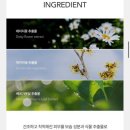 강민경 포트레 톤업크림 블러 스킨 틴트 로즈 내돈내산 구매후기🩵✨