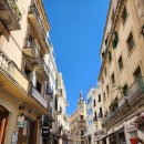 가우디농장 이미지