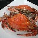 홍성농협주유소 이미지