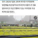신흥팜 이미지