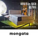 임이오니 이미지
