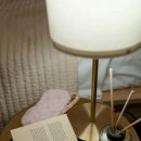 나만의 향기로운 디퓨져 만들기 이미지