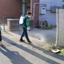 온천2동-13 이미지