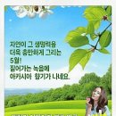 꽃향기풀내음 이미지