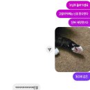 나 별빛처럼 빛나지 않아?