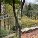 볼매