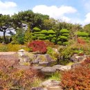 여미지식물원 이미지