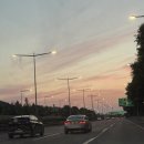 트레이더스김포점 장보기 꿀팁💡 쿠팡보다 싸다고..? 김포데이트!