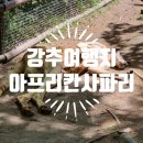 녹색구내매점 | 벳푸 아이들과 가볼만한 곳 아프리칸 사파리 솔직 후기 feat. 내돈내산, 여행지, 동물 먹이 주기, 필수...