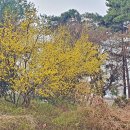 영동자동차정비 이미지