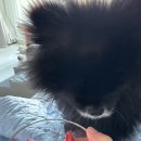 복남 농장 이미지