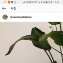 성일목욕탕 이미지