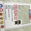 송디자인 이미지