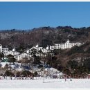 안성면109 이미지