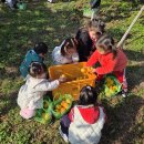 은하어린이집 이미지