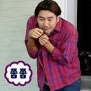 사카나 이미지