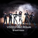 비비드(vivid)