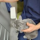석곡리 1842 네이버블로그