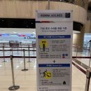 김포국제공항 국제선 아시아나 셀프백드랍 이용 방법, 오픈 시간