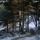 성산약수 이미지