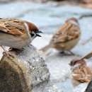 신성초등학교 이미지