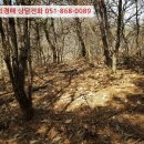 팔산리마을회관 네이버블로그