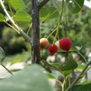 해경농장 이미지