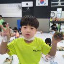 신주례태권도 체육관 이미지