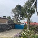 볼레낭집 이미지