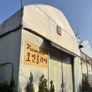 조은꽃식물원 | 파주 조인폴리아 식물원에서 봄맞이 준비 추천 식물!