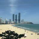 67 | 웨스틴 조선 부산 🌊 까밀리아 뷔페 후기｜조식·디너 가격 &amp; 솔직 리뷰
