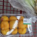 주식회사 더원식자재마트 | 김천더원식자재마트(구,김천K1식자재마트)