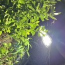 섬말농장 이미지