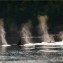 광화문역 8번출구 이미지