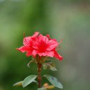 동산 농장 이미지