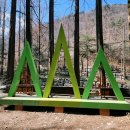 장태산휴양림 이미지