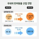 미래펫 동물병원 네이버블로그