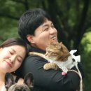 쭈코쭈코 이미지