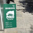 국제클라이밍장 | [부산일상/광안하루]울산 월담 클라이밍장 후기, 브리즈 아카이브 복귀 소식 전하기! 부산 떡갈비 맛집...