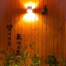 양지마을 포레스트 네이버블로그
