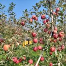 사이버월드 이미지