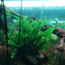 아쿠아가든팜카페 이미지