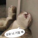 [1월 일상](3) 모자 미국 서부 여행기(ver1.0)